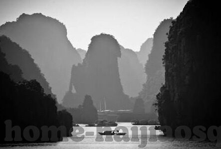 日韩AV无码网看-探索成人娱乐文化的多元视角，日韩AV内容与网络观看现象